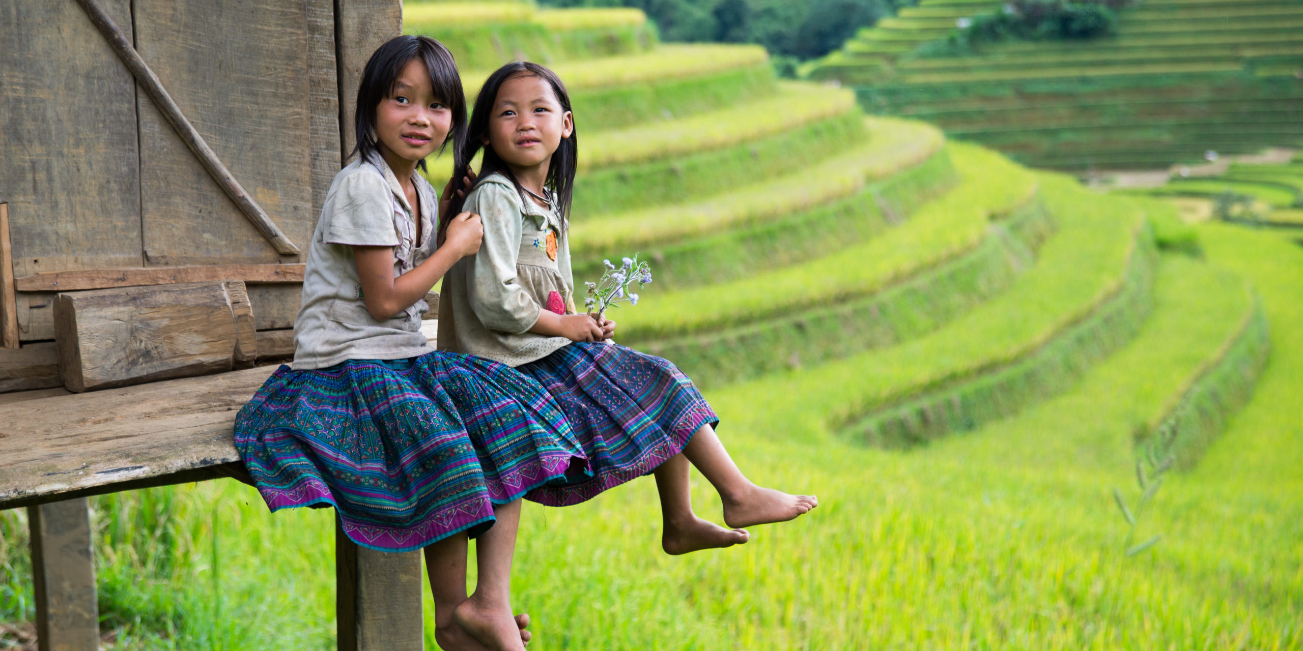 MUCANGCHAI, VIETNAM, SEPT 20: H'mong ethnic minority children on September 20, 2014 in Mucangchai, Vietnam. H'mong is the 8th largest ethnic group in Vietnam.